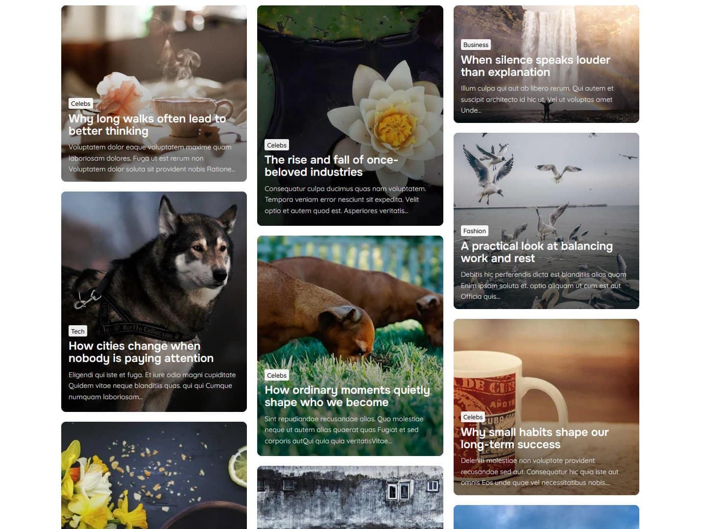 Aurora WordPress theme Archive: Overlay Layout