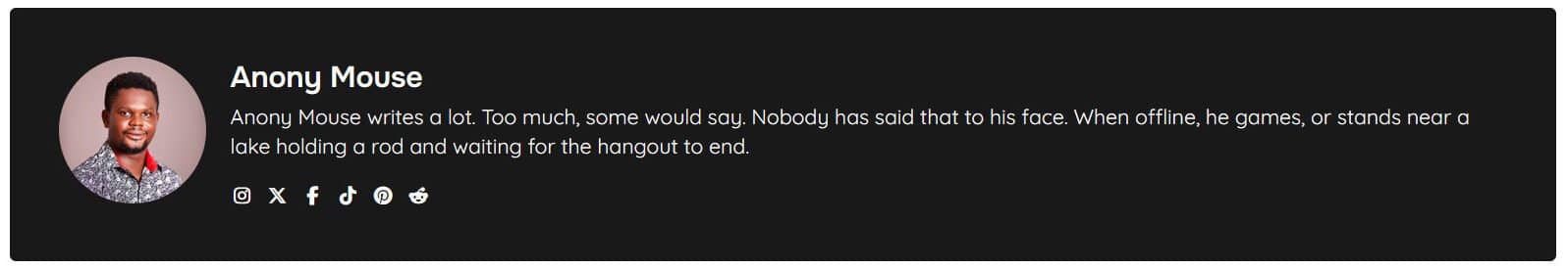 Author block displayed below a single post showing author photo, name, bio and social links
